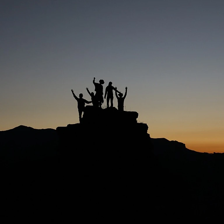 Understanding the Role of Change Management Professionals