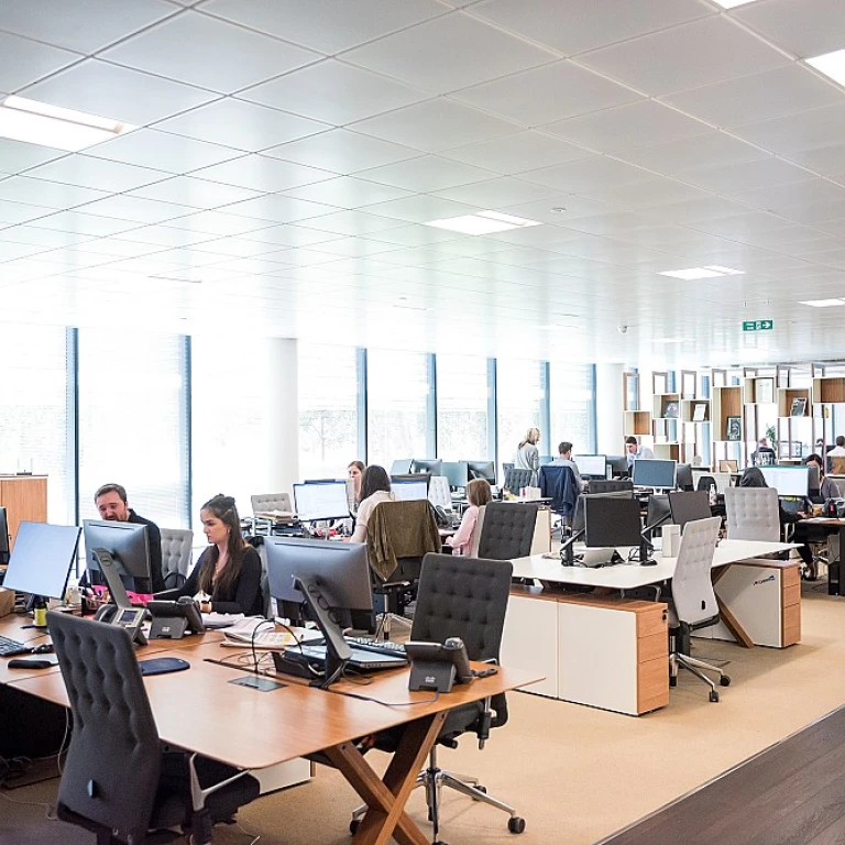 Embracing a Culture of Transformation in Management